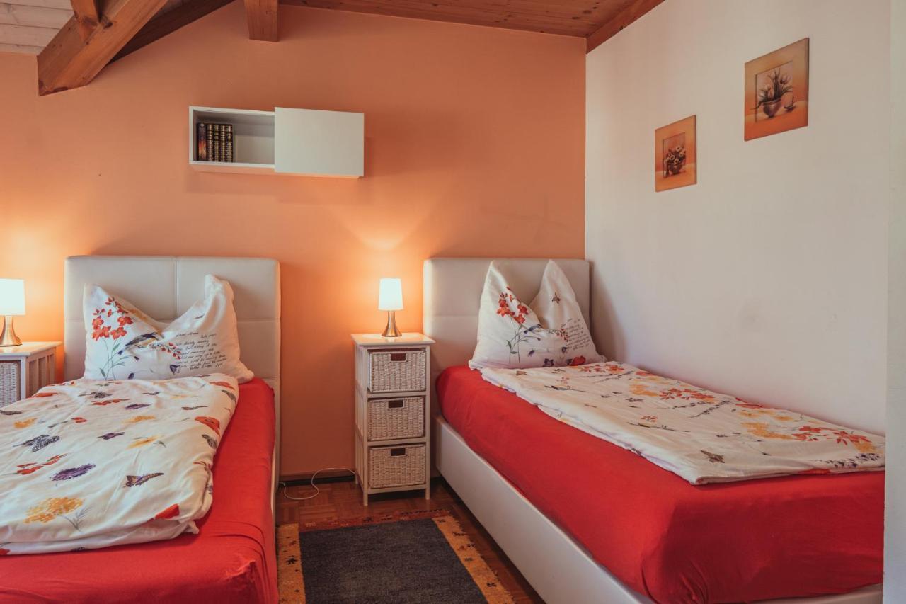 Armonia Altach, 2-6 P, 2 Schlafzimmer, Kueche, Parkplatz, Balkon, Wifi, Garten, Stellplatz Fuer Ski المظهر الخارجي الصورة